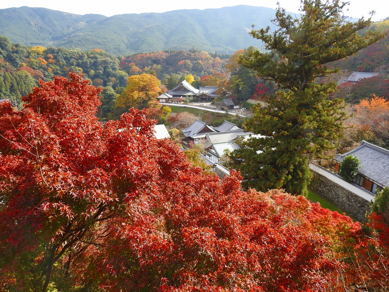 奈良への観光