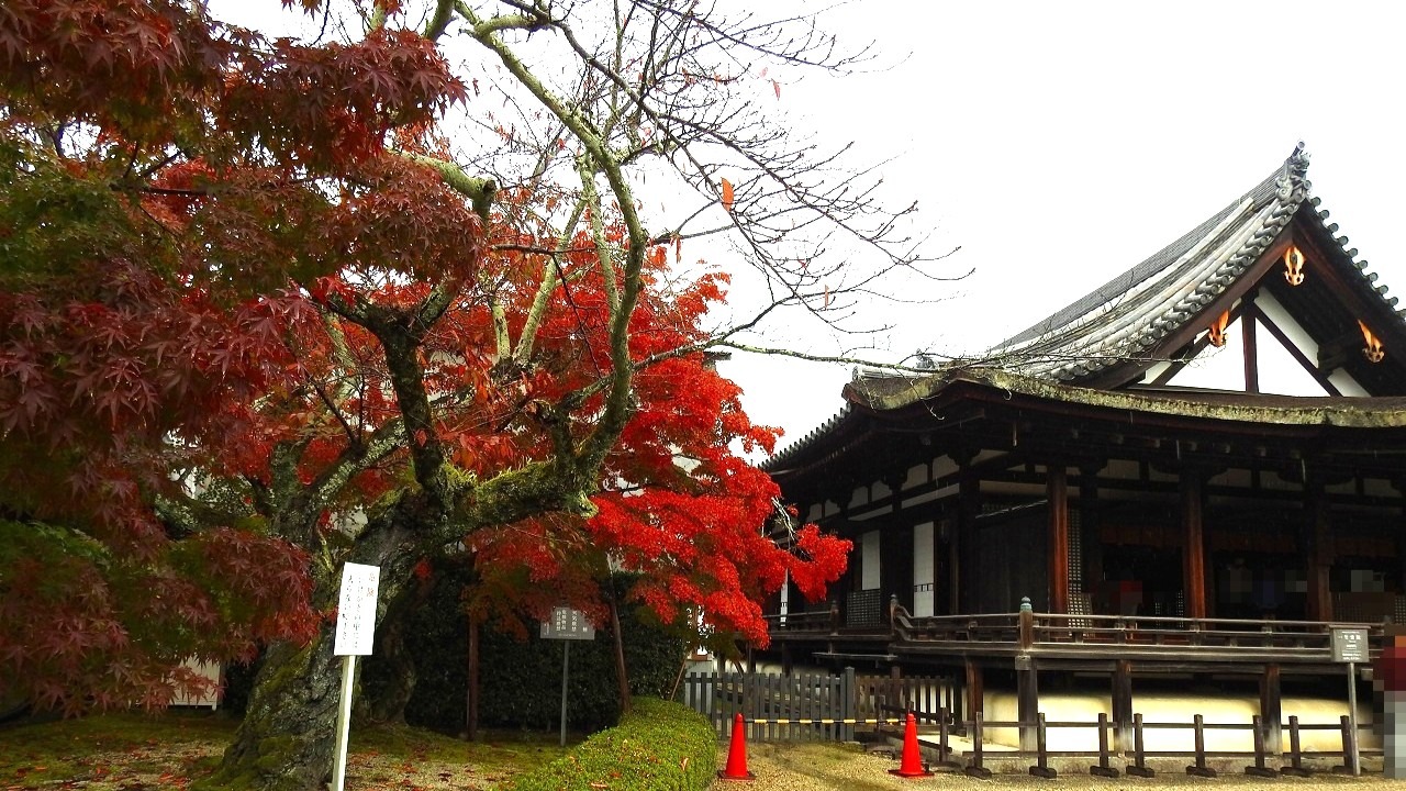 奈良　法隆寺