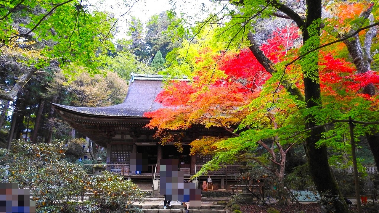 女人高野　室生寺　本堂（灌頂堂）