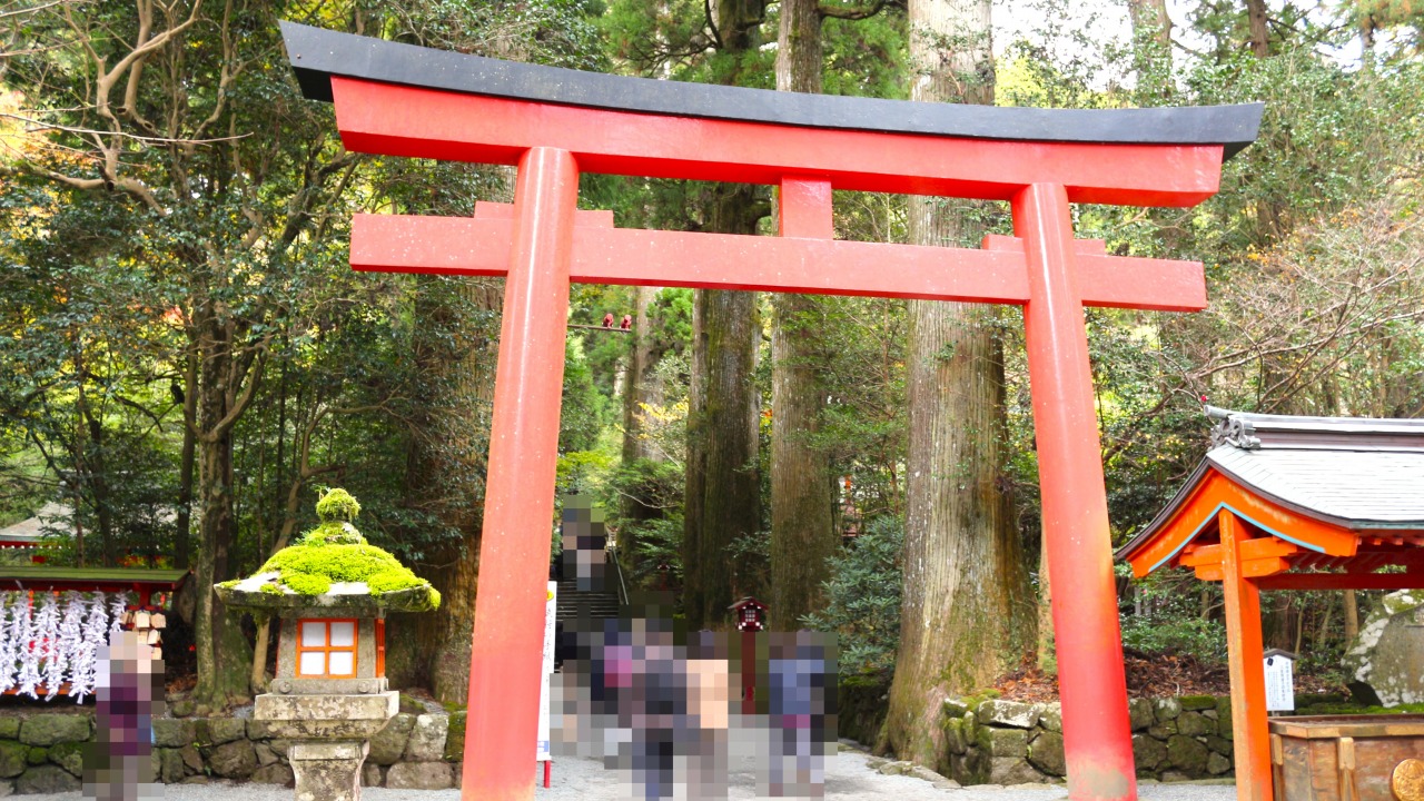 箱根神社 鳥居