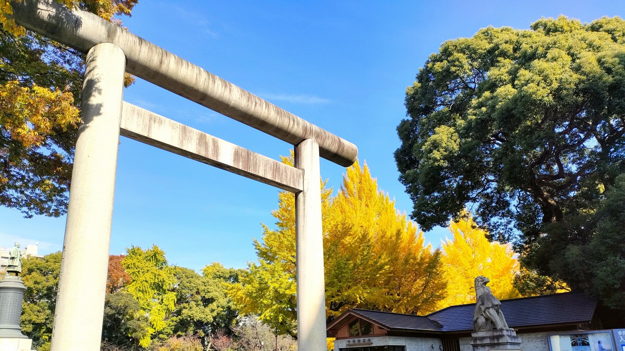 靖国神社　鳥居