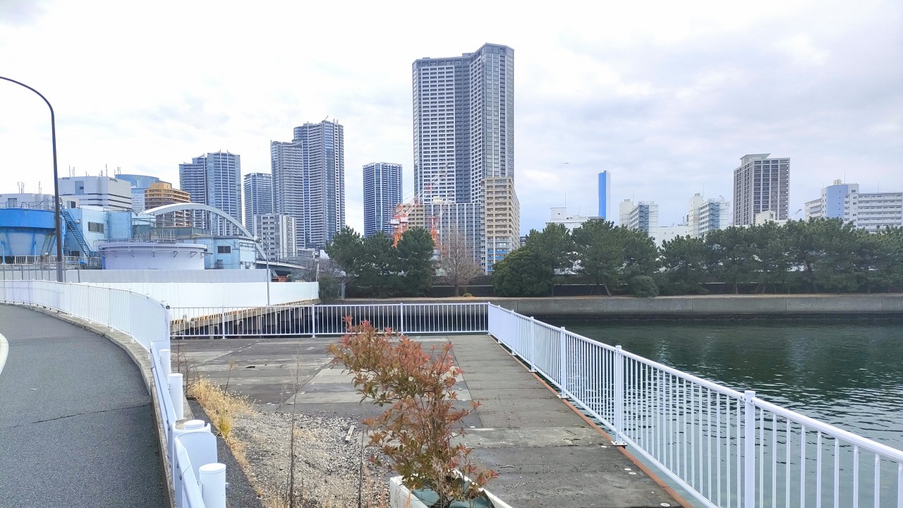 築地大橋からの風景