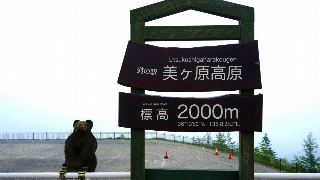 ビーナスライン 道の駅 美ヶ原高原