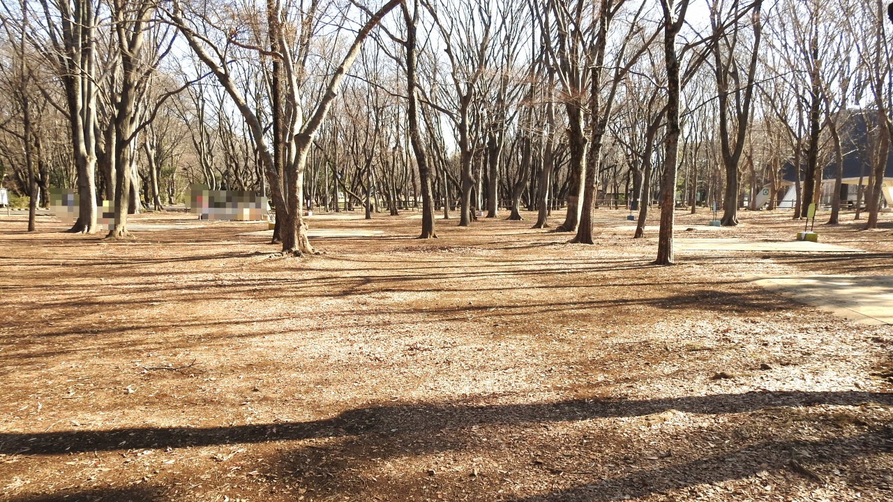 光が丘公園 バーベキュー広場