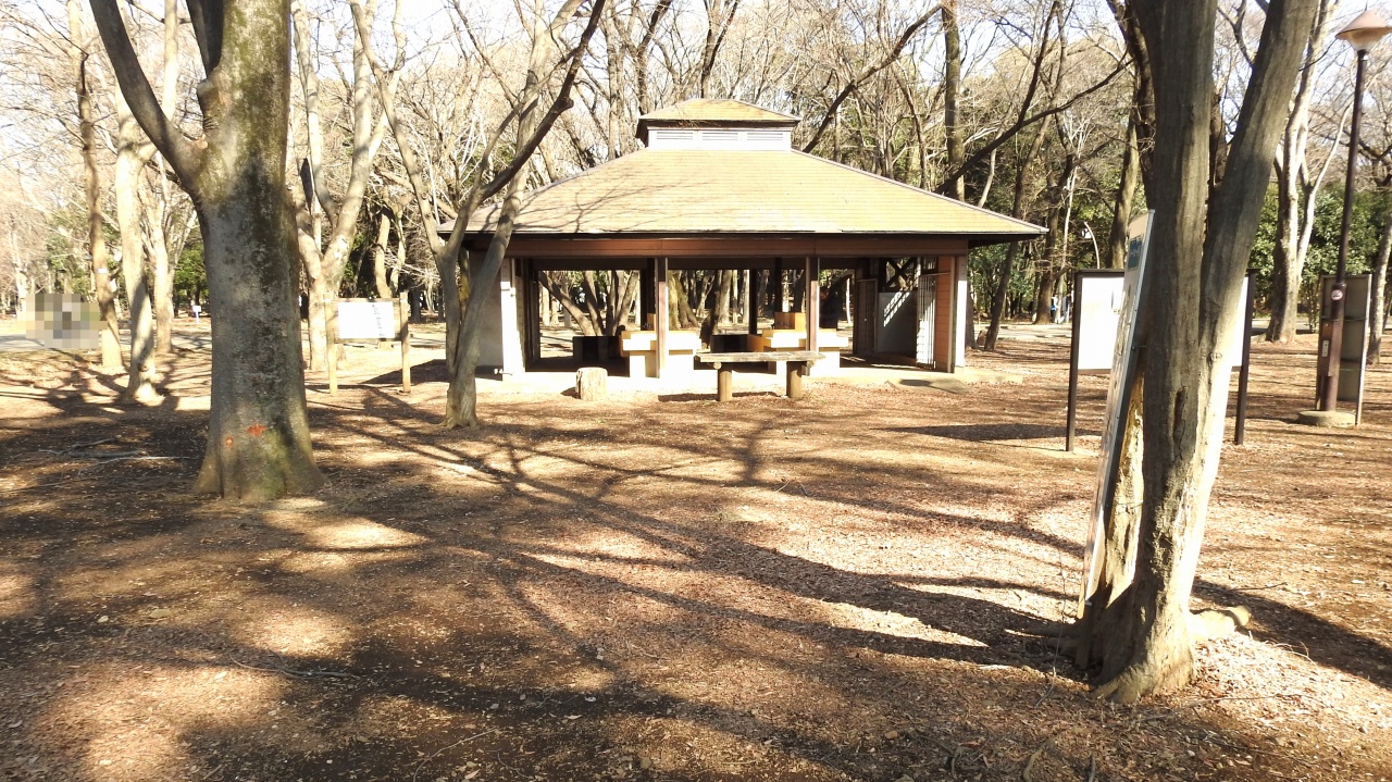 光が丘公園 デイキャンプ広場 炊事棟