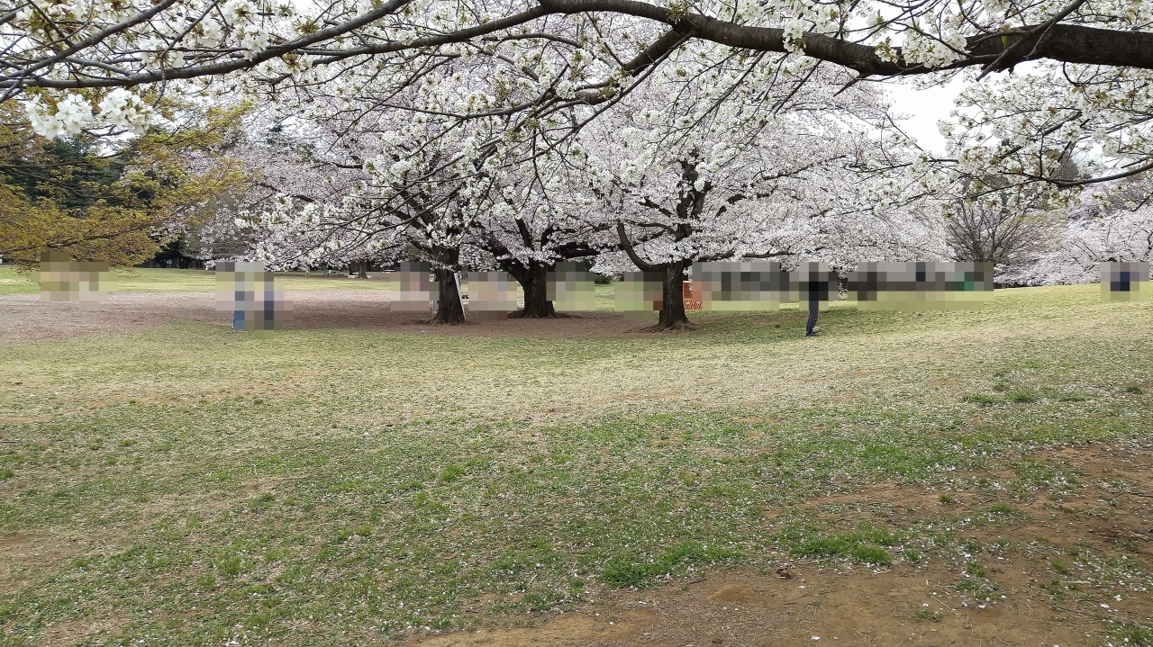 光が丘公園 芝生広場