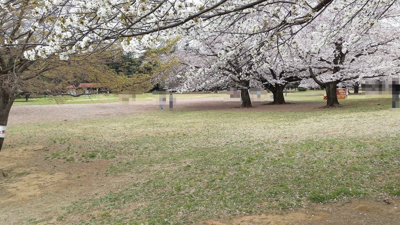 光が丘公園 芝生広場