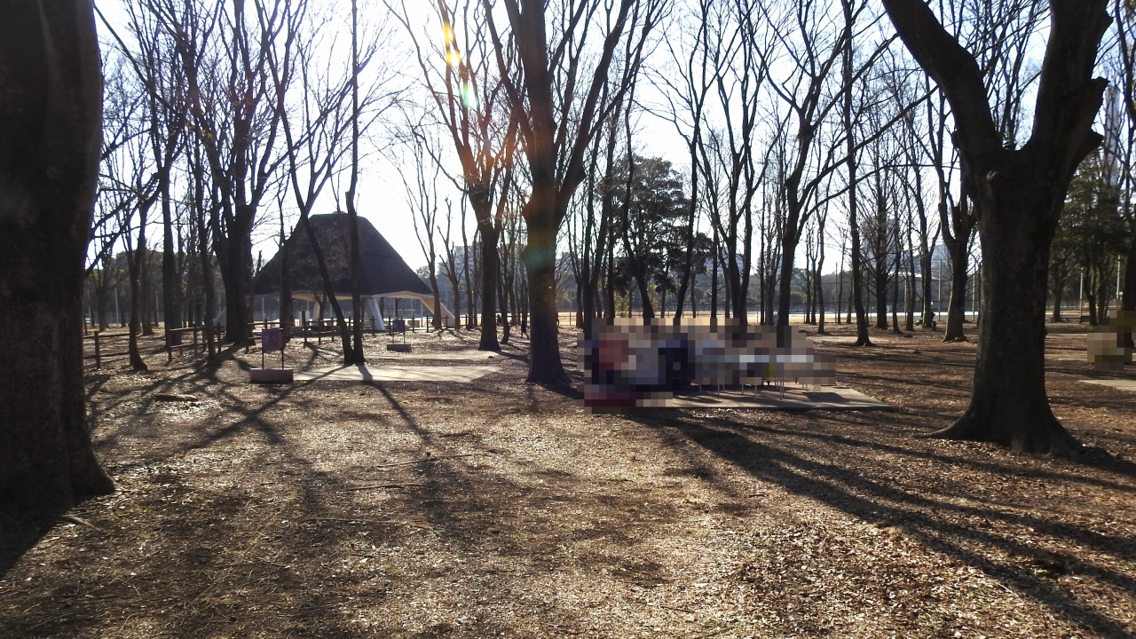 光が丘公園 バーベキュー広場
