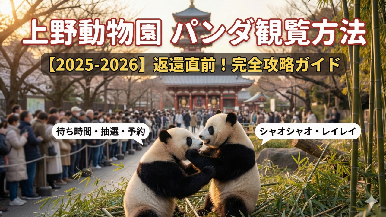 パンダ観覧方法