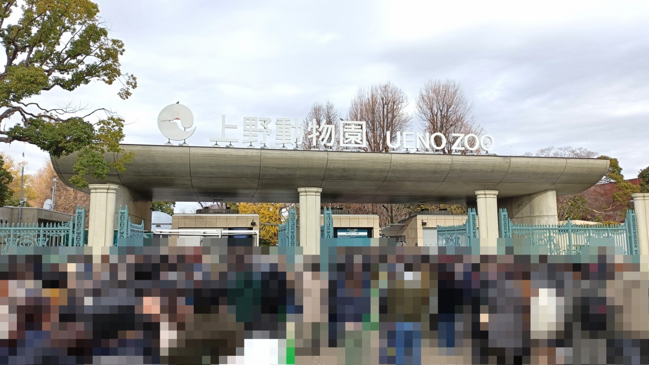 上野動物園 正門 ジャイアントパンダの行列