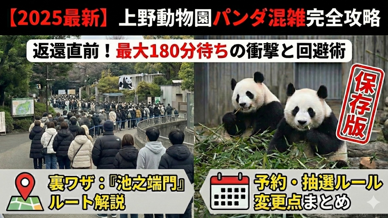 上野動物園 ジャイアントパンダ