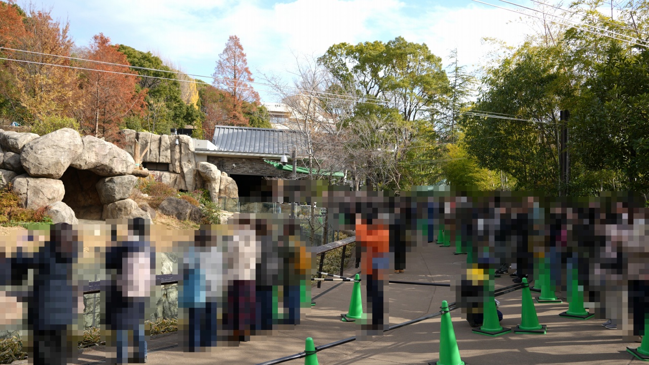 上野動物園 ジャイアントパンダ「シャオシャオ」の行列