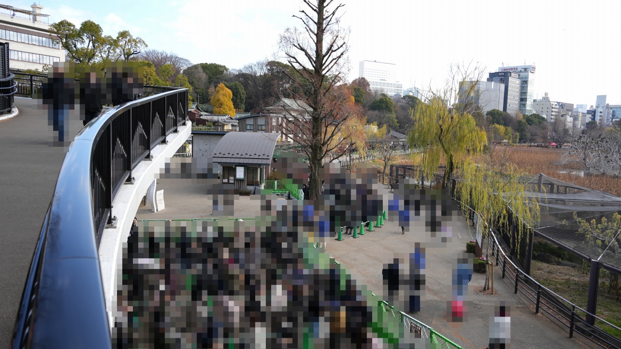 上野動物園 ジャイアントパンダ「シャオシャオ」の行列