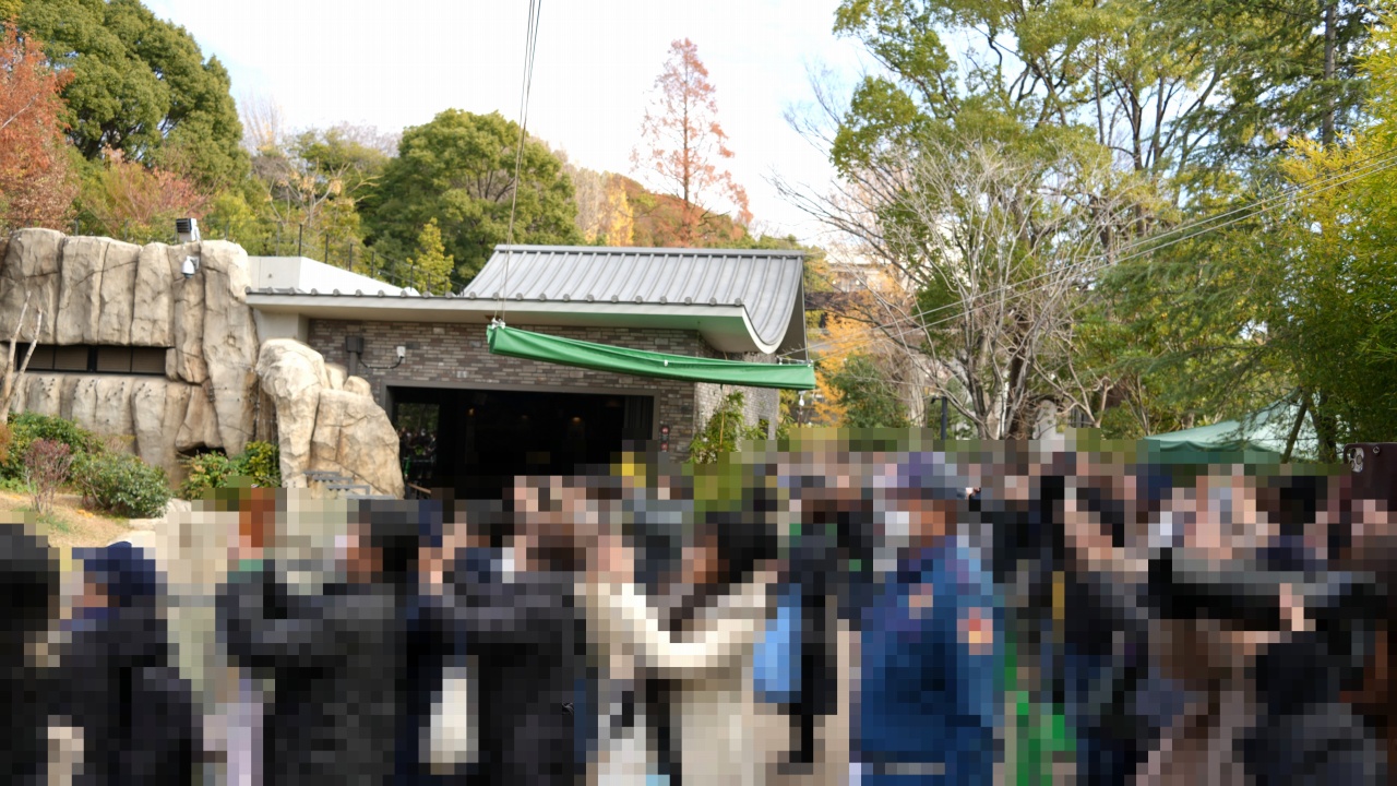 上野動物園 ジャイアントパンダ「シャオシャオ」の行列